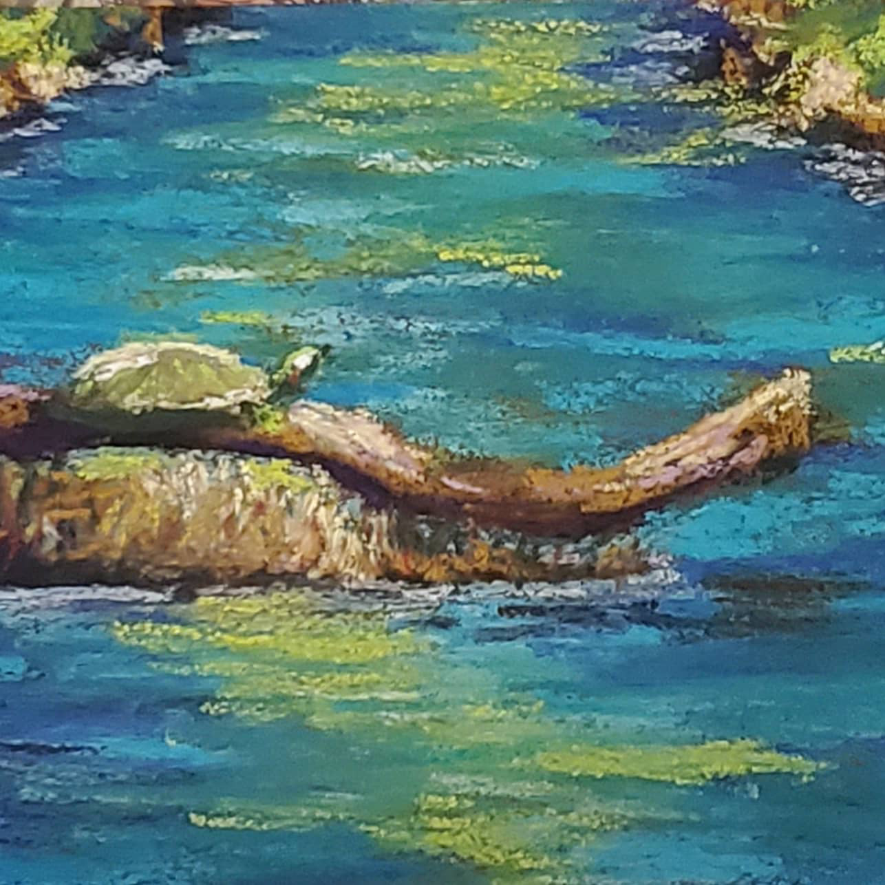 a turtle hangs out on a rock in the water