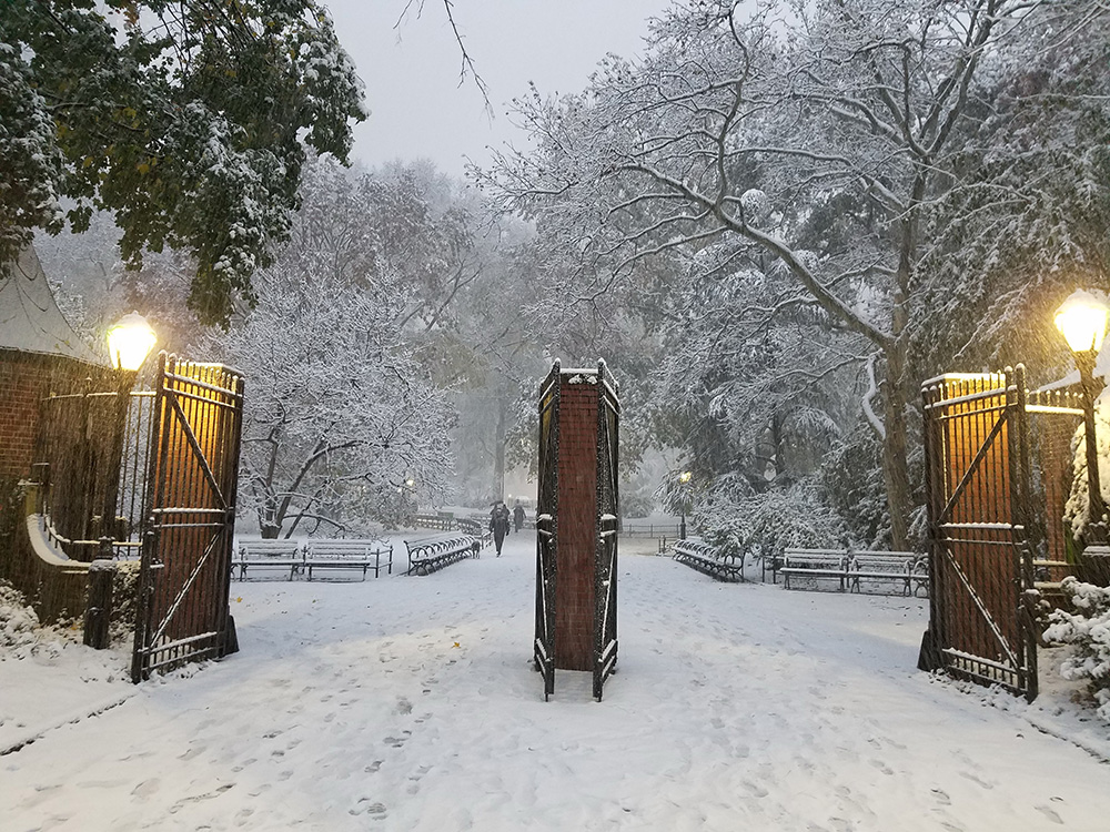 the gates of the zoo, illuminated by the lampposts, welcome guests into the park covered in snow