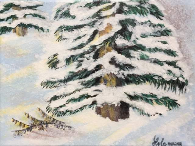 an evergreen tree covered in snow