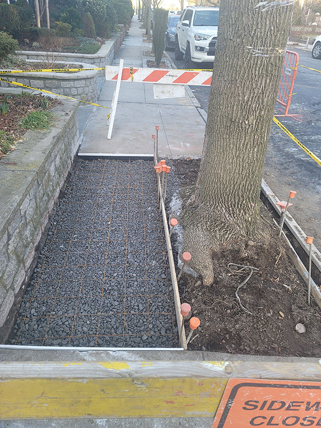 Sidewalk reinforced with rebar to prevent future damage from tree root growth.