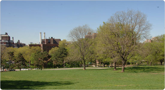 Image of Fort Greene Park Image of Fort Greene Park