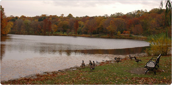 Parts of Van Cortlandt Park still feel as untouched as before they became public space in 1888. Parts of Van Cortlandt Park still feel as untouched as before they became public space in 1888.