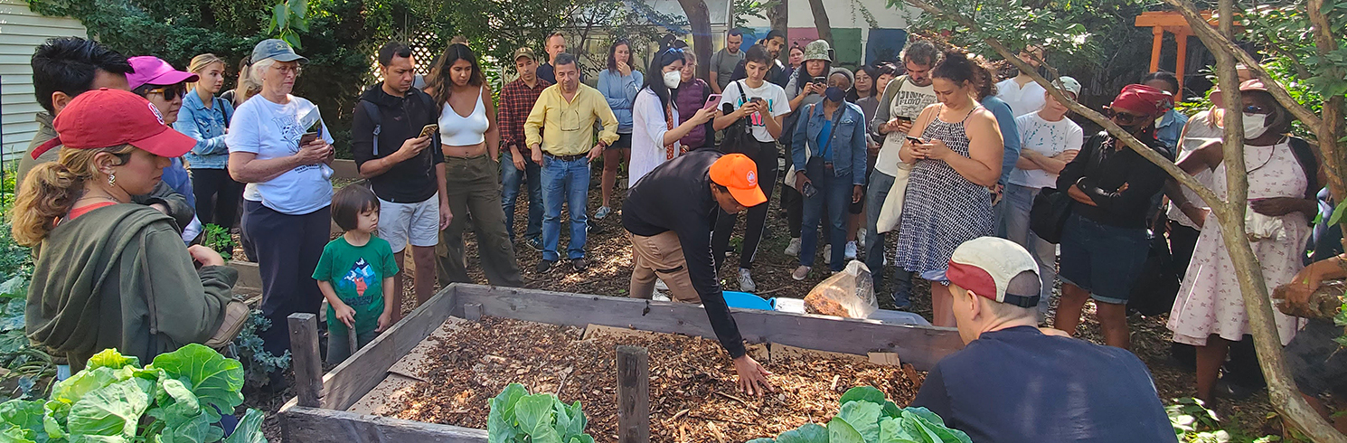 Gardening For Beginners