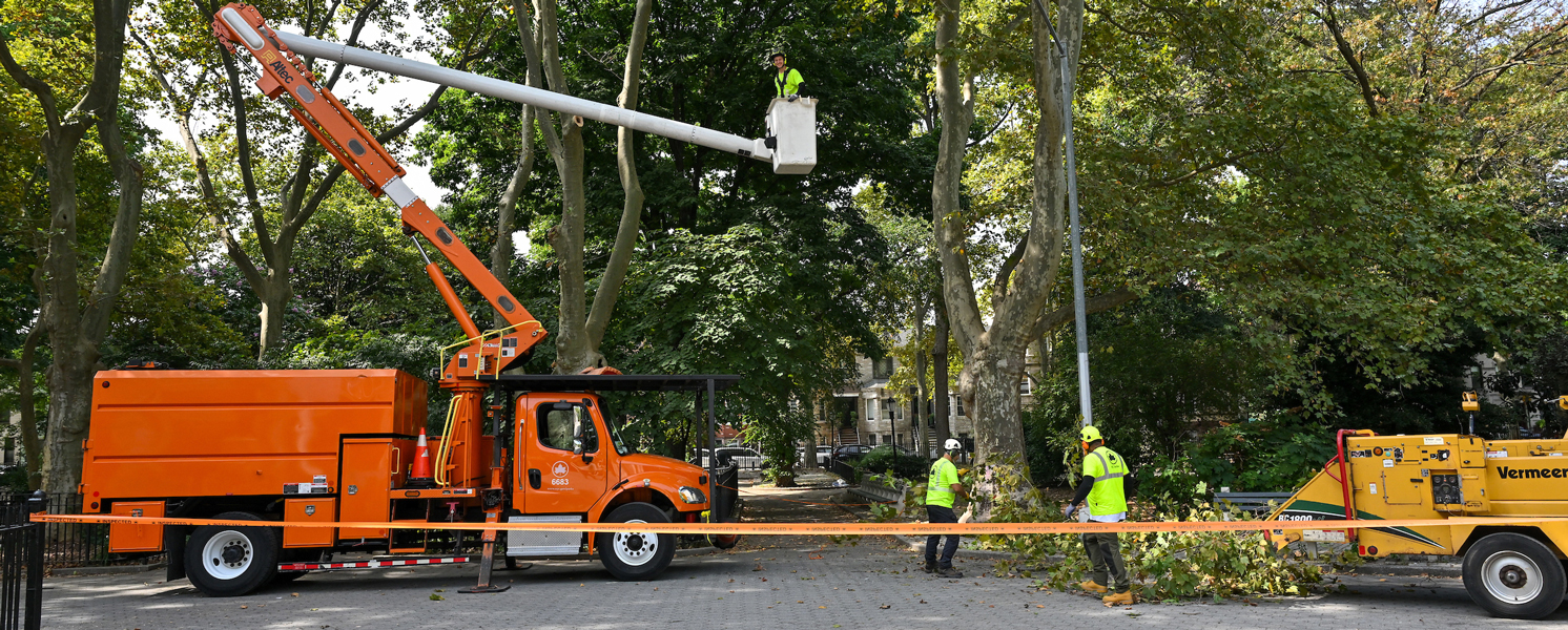 Stillwater Tree Service