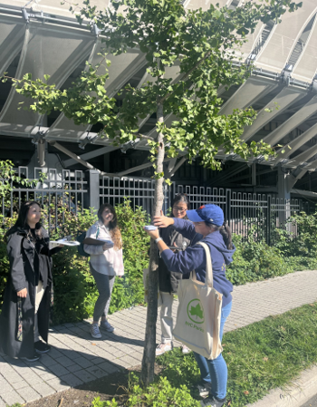 Trees Count Registration : NYC Parks image.