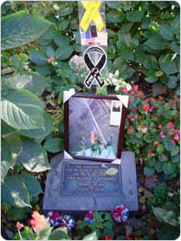 An image of Madison Square Park?s Freedom Tree marker proves even the most modest veteran monument can be the object of veneration. An image of Madison Square Park?s Freedom Tree marker proves even the most modest veteran monument can be the object of veneration.