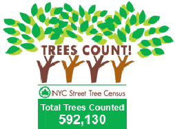 Trees Count! Street Tree Census : NYC Parks
