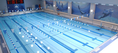 become an nyc parks lifeguard nyc parks nyc lifeguard