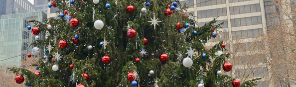 Winter Holidays - NYC Parks