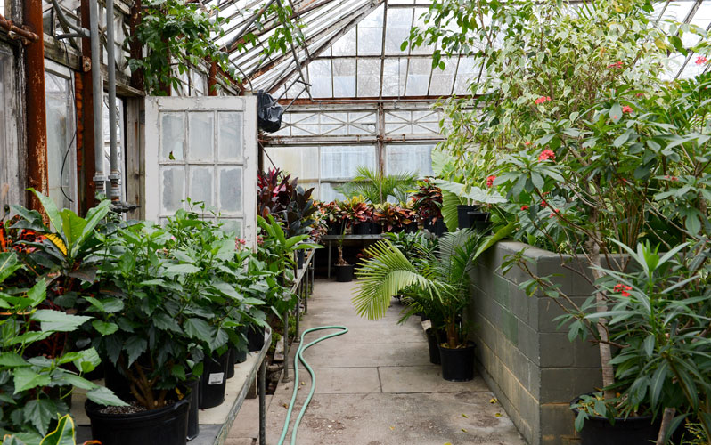 Tour the Forest Park Greenhouse NYC Parks