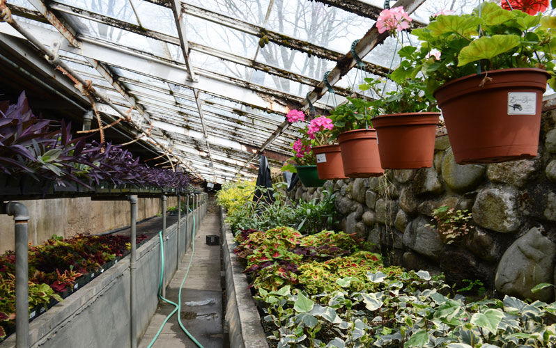 Tour the Forest Park Greenhouse NYC Parks