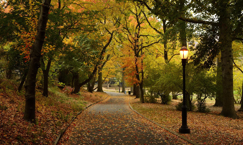 fall-date-ideas-nyc-parks