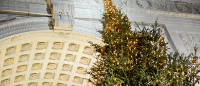 A Christmas tree at the Washington Square Park arch is lit with holiday lights