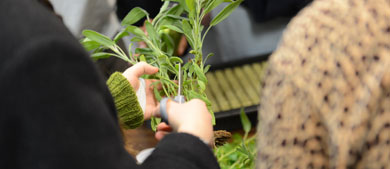 a participant holds up a plant