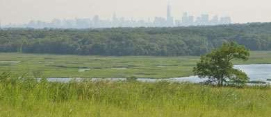 from a green meadow, you can look out to a creek, forest, and the Manhattan skyline