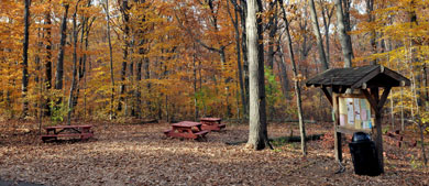 a sign board surrounded by fall foliage