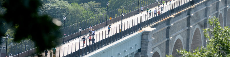 The High Bridge NYC Parks