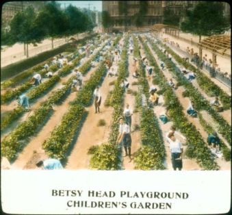 Betsy Head Playground Children's Garden : Photo Gallery : New York City ...