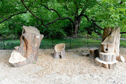 The Donald and Barbara Zucker Natural Exploration Area : Photo 