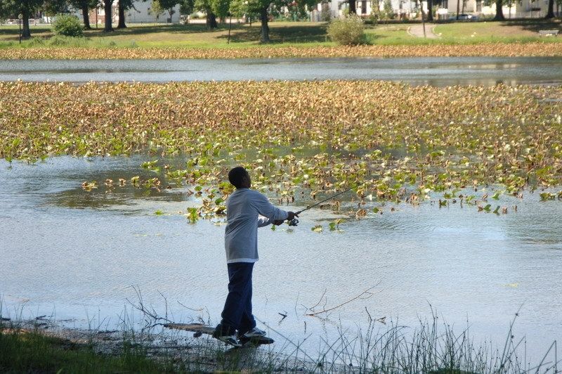 Baisley Pond Park Alchetron, The Free Social Encyclopedia