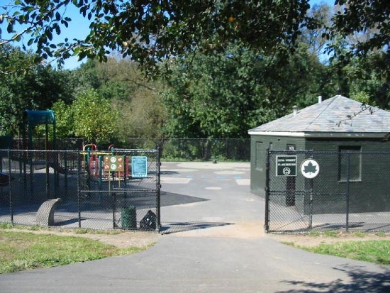 The In Bronx Park The In Bronx Park