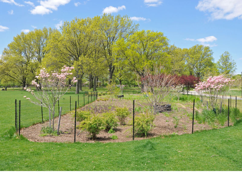 Baisley Pond Park Images NYC Parks