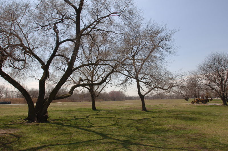 Canarsie Park Images : NYC Parks