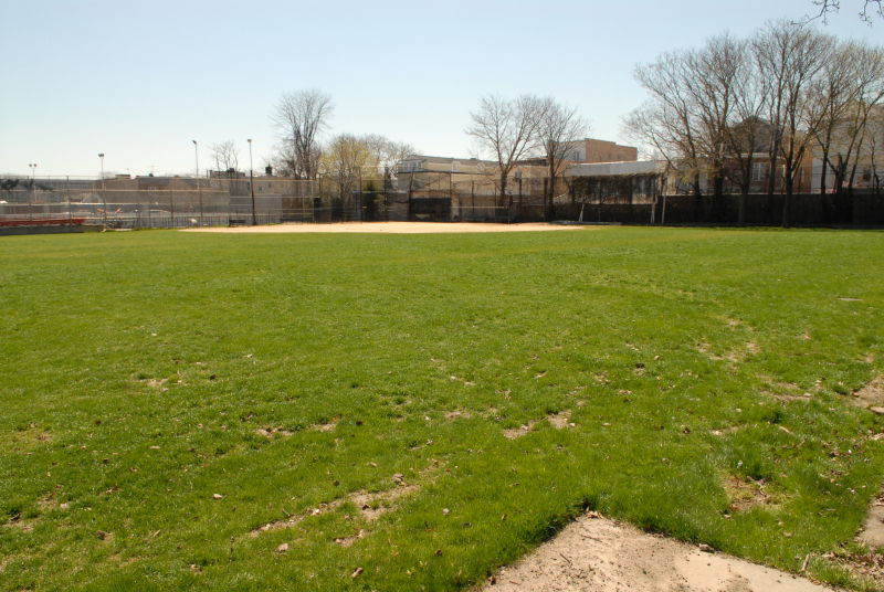 Gravesend Park News Gravesend Park In Brooklyn Is Named February's