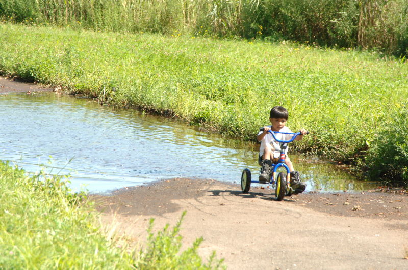 Baisley Pond Park NYC Parks