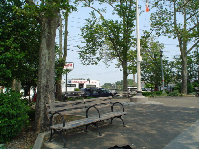 Young Park : NYC Parks