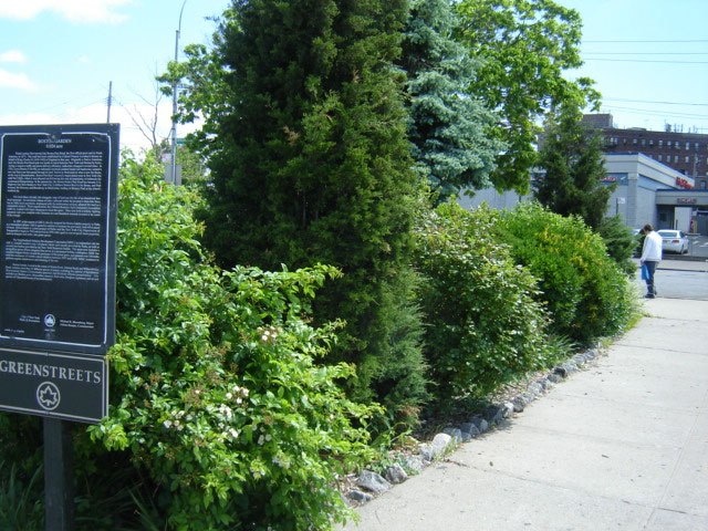 Boston Garden : NYC Parks
