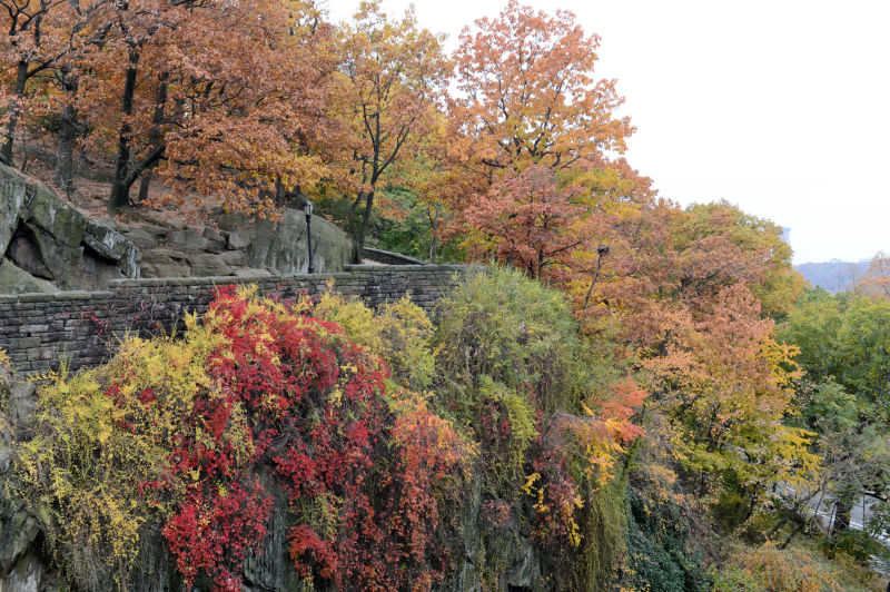 Fort Tryon Park : NYC Parks nature in nyc