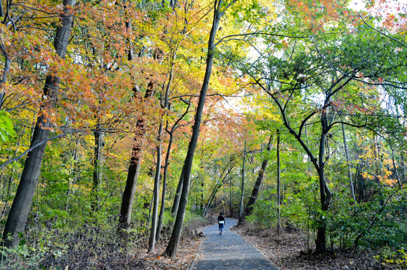 cunningham park mountain biking