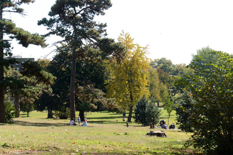 Owl's Head Park Highlights NYC Parks