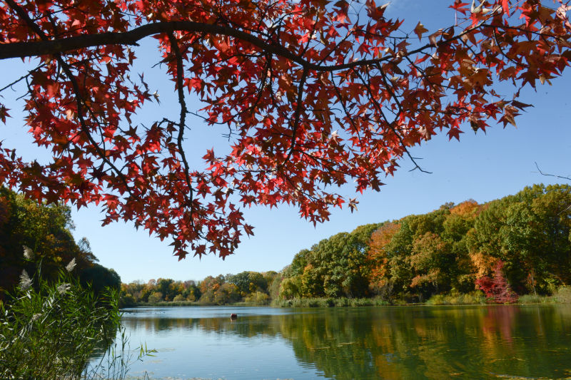 Alley Pond Park Images NYC Parks