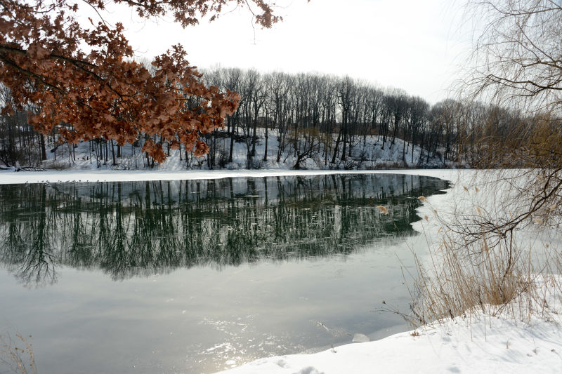 Alley Pond Park NYC Parks