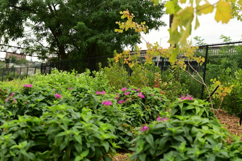 Concrete Plant Park NYC Parks