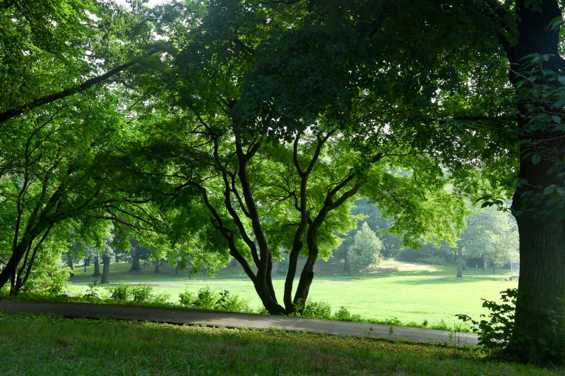 Hermon A. MacNeil Park Kayak/Canoe Launch Sites NYC Parks