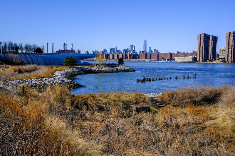 Hunter's Point South Park NYC Parks