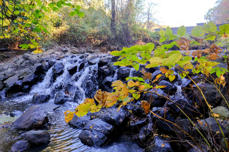 Clove Lakes Park Highlights NYC Parks