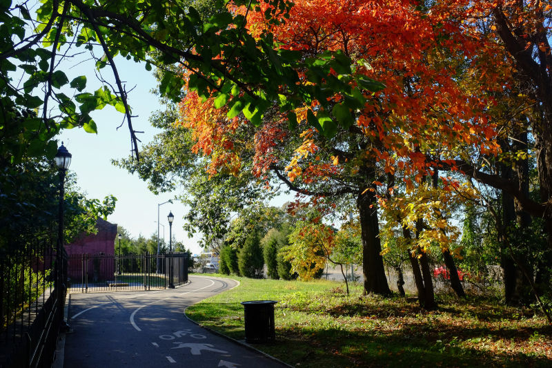 Highland Park Events NYRR Open Run Highland Park NYC Parks