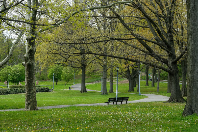 Highland Park : NYC Parks