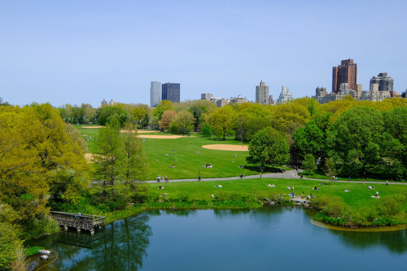 does central park have wifi?