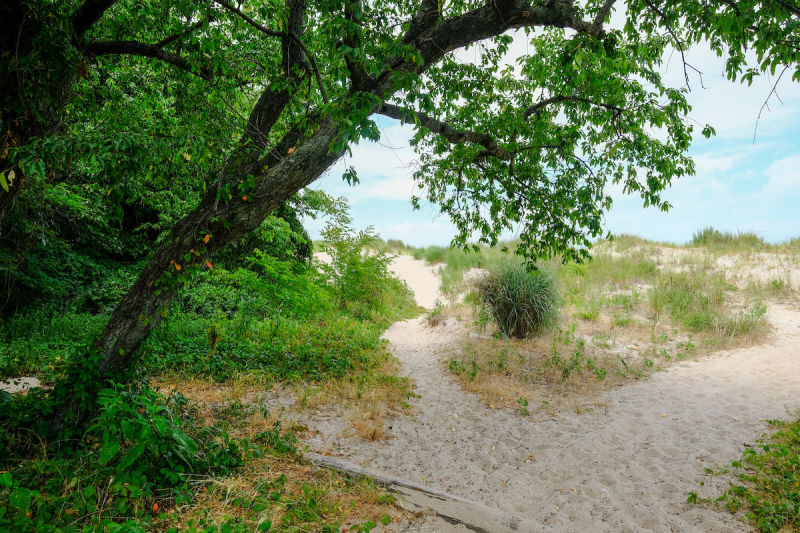 Coney Island Creek Park NYC Parks