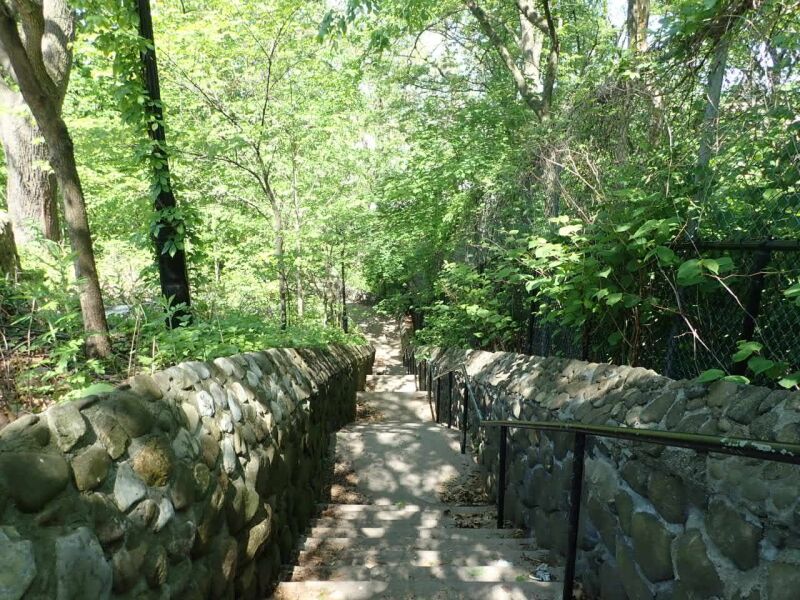 大学が見える公園 University Woods : NYC Parks