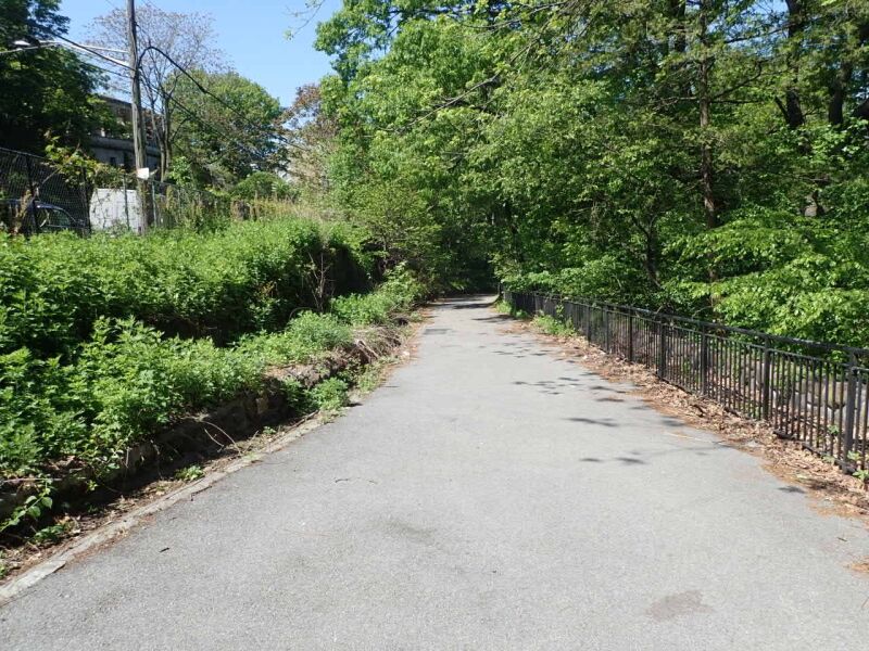 University Woods : NYC Parks