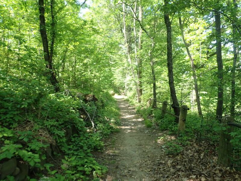 University Woods : NYC Parks