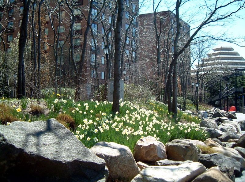 The Battery Nyc Parks