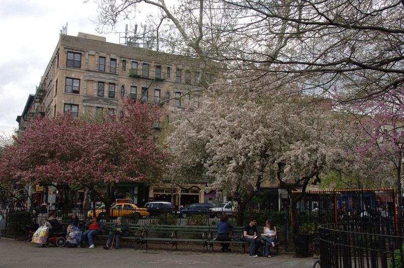Tompkins Square Park Highlights Nyc Parks