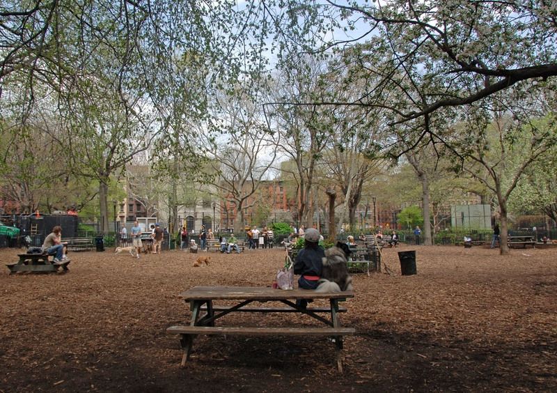 Tompkins Square Park Map Nyc Parks